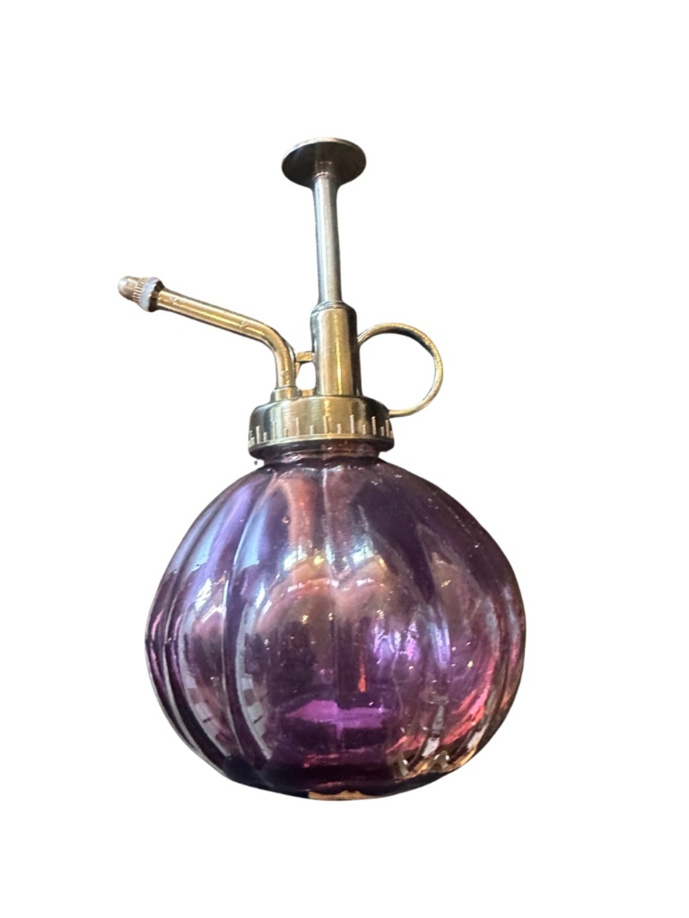 NEW Two's Company Purple Round Plant Mister